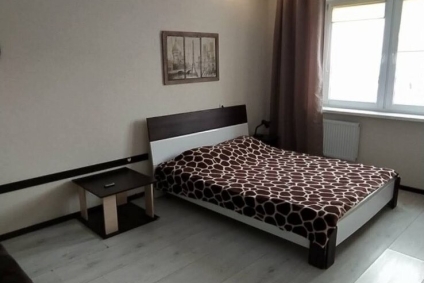 Уютная однокомнатная квартира в новостройке